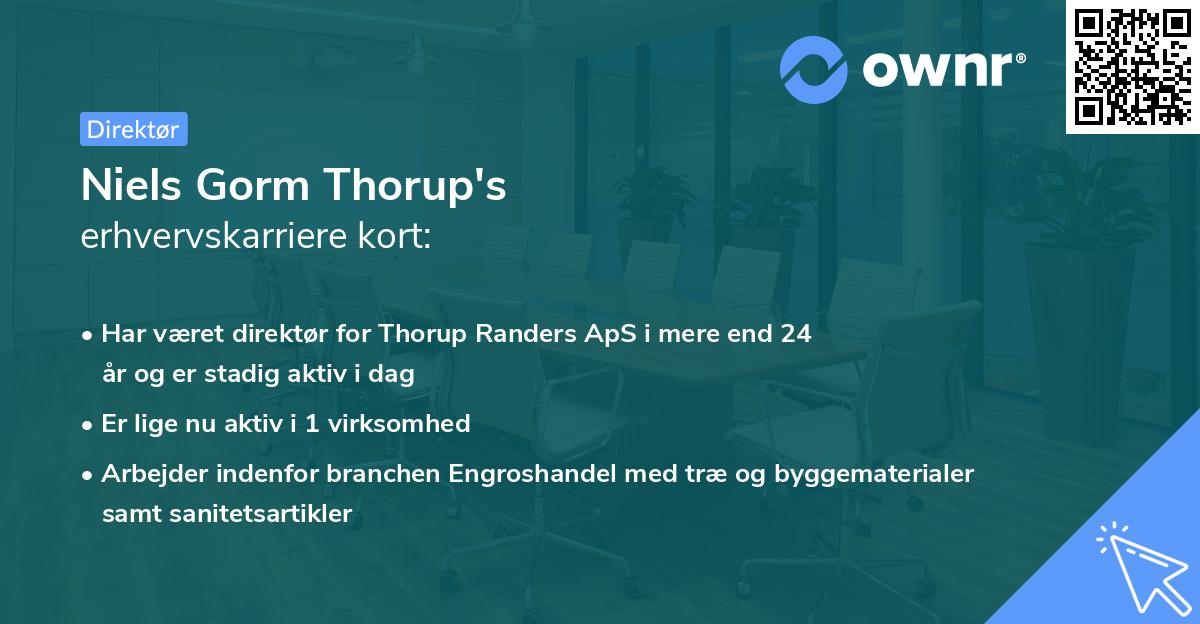 Niels Gorm Thorup's erhvervskarriere kort