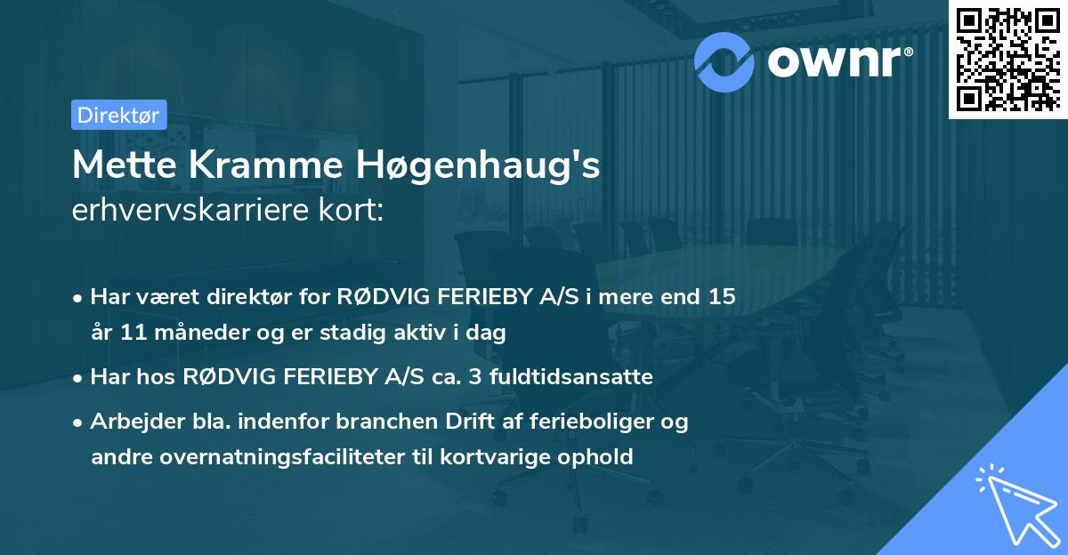 Mette Kramme Høgenhaug's erhvervskarriere kort