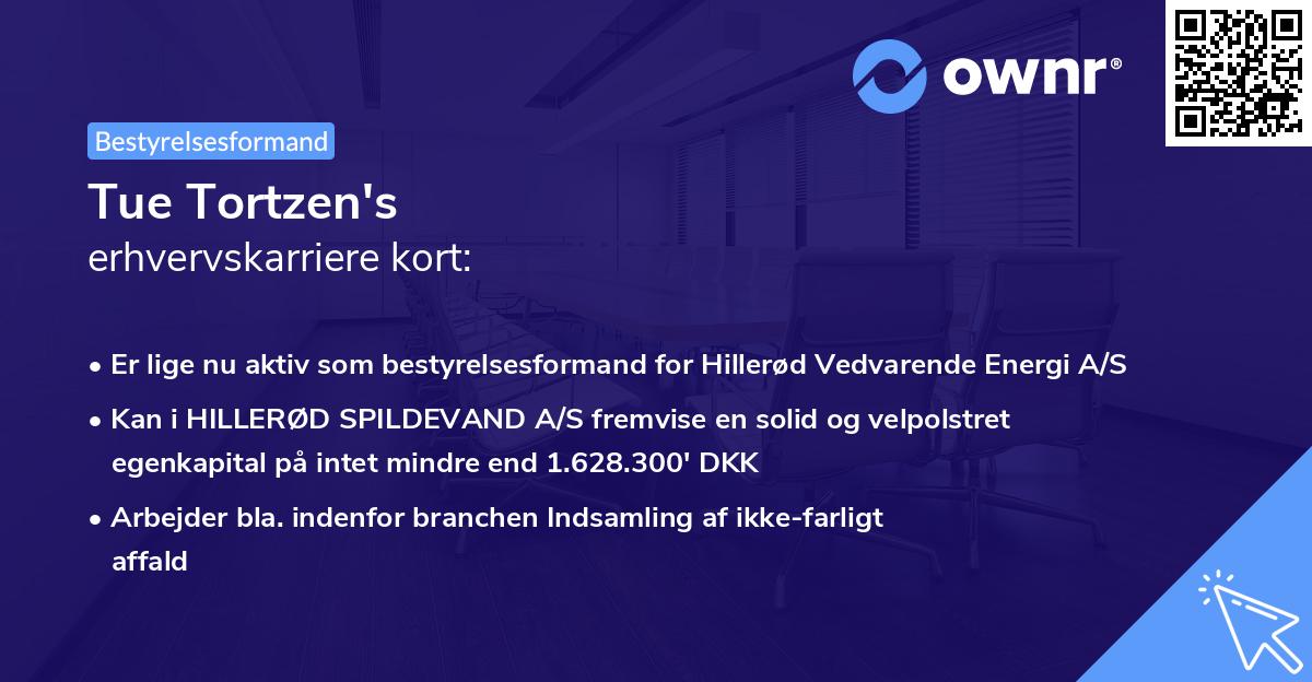 Tue Tortzen's erhvervskarriere kort