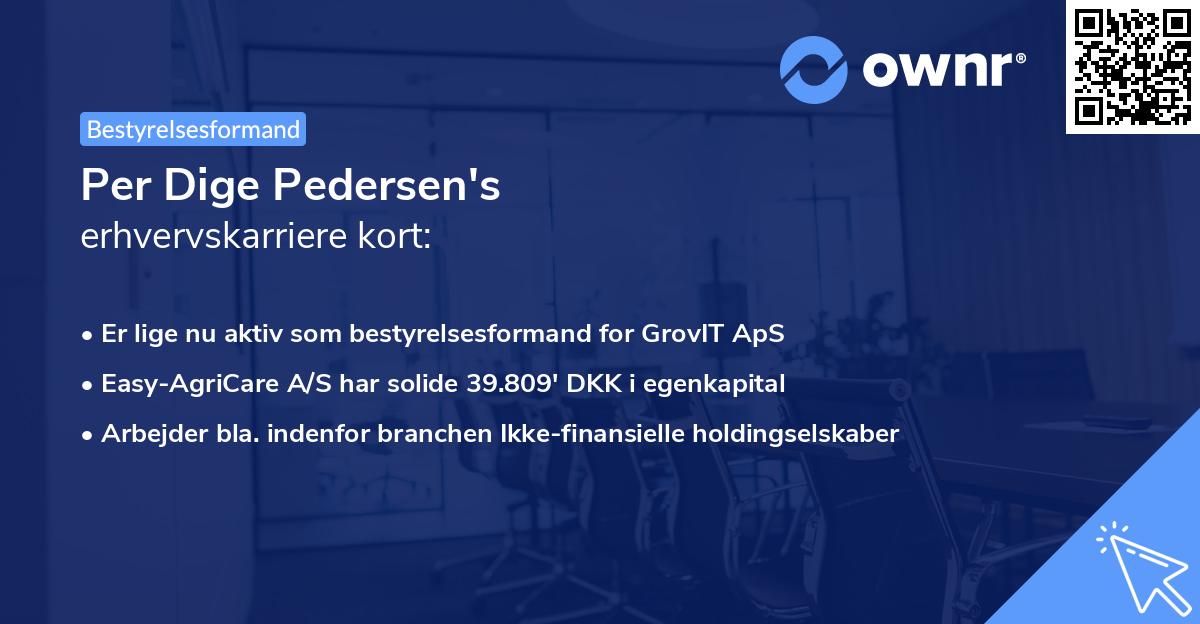 Per Dige Pedersen's erhvervskarriere kort