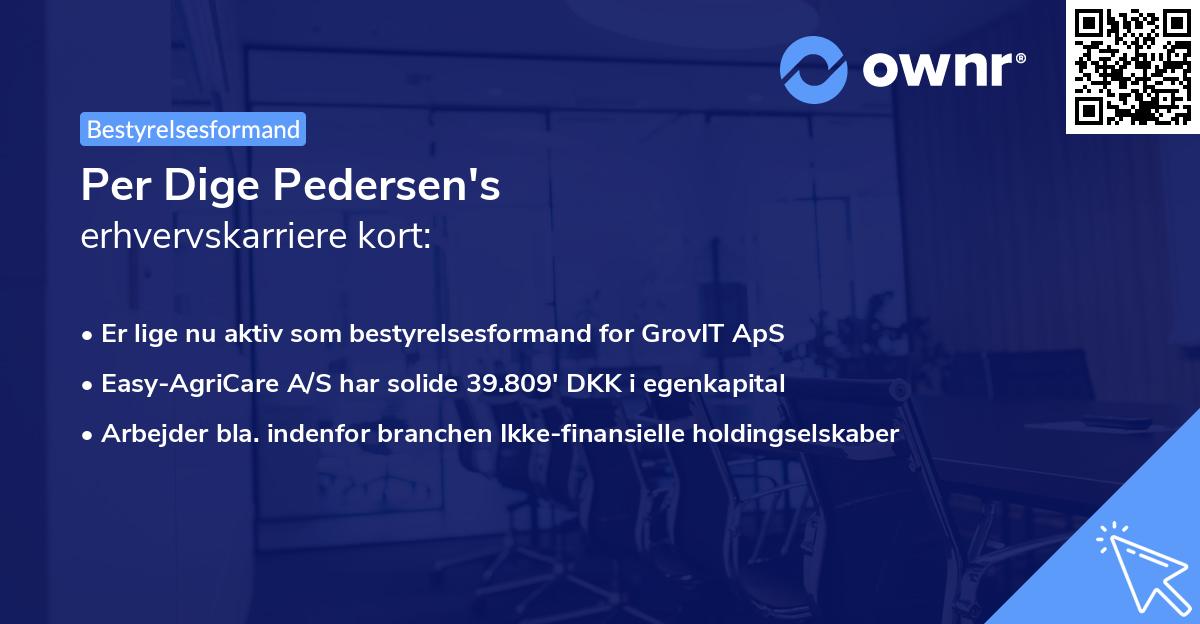 Per Dige Pedersen's erhvervskarriere kort