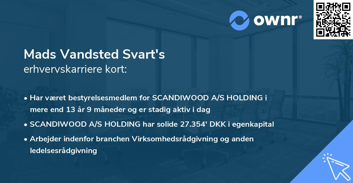 Mads Vandsted Svart's erhvervskarriere kort