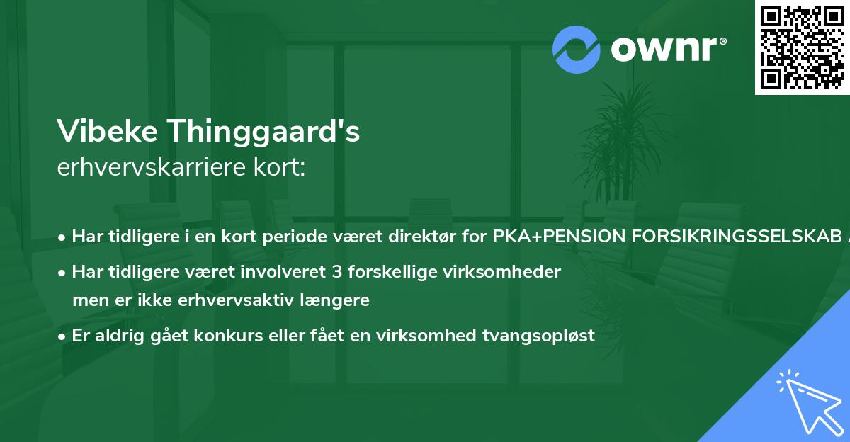 Vibeke Thinggaard's erhvervskarriere kort