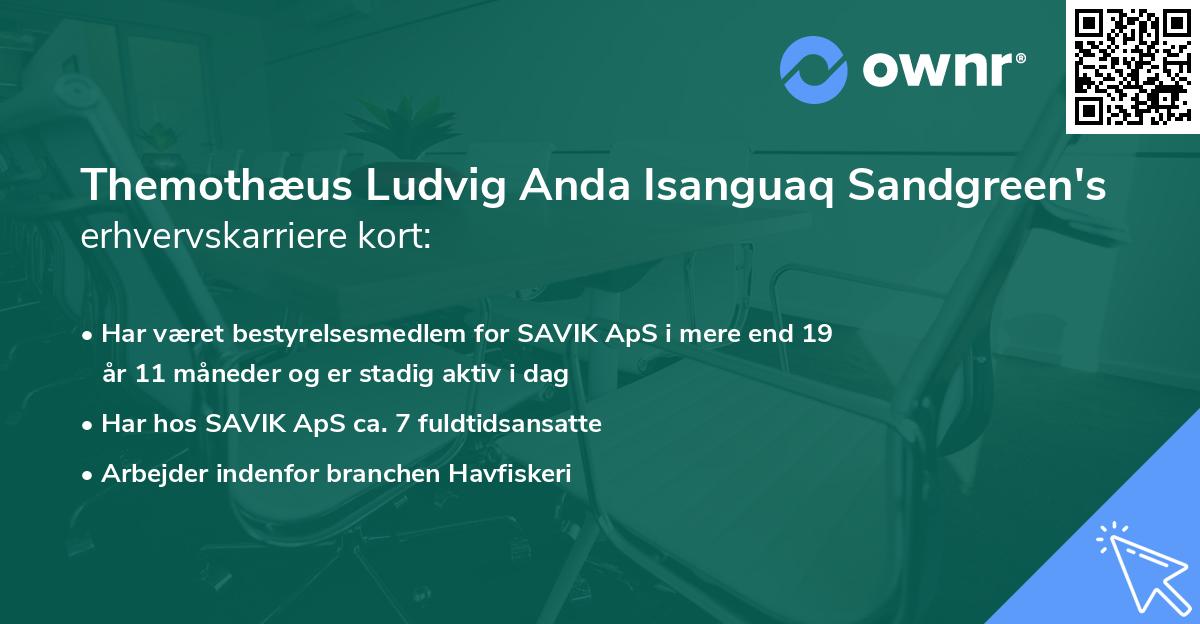 Themothæus Ludvig Anda Isanguaq Sandgreen's erhvervskarriere kort