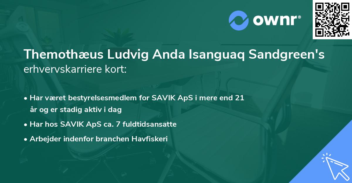 Themothæus Ludvig Anda Isanguaq Sandgreen's erhvervskarriere kort