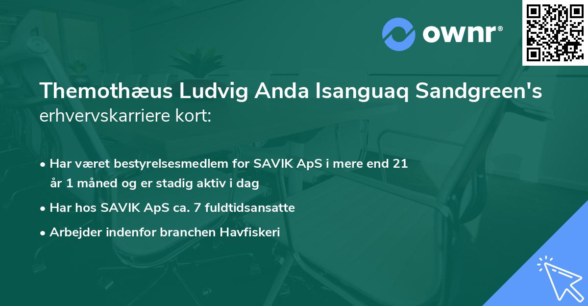 Themothæus Ludvig Anda Isanguaq Sandgreen's erhvervskarriere kort