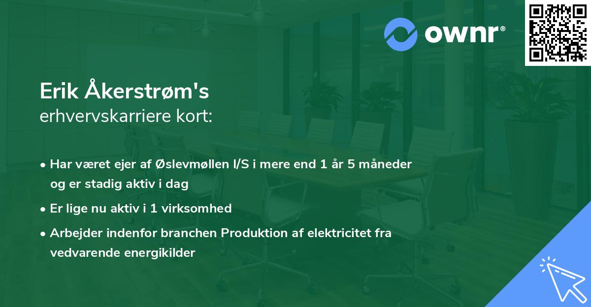Erik Åkerstrøm's erhvervskarriere kort