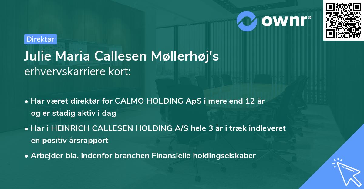 Julie Maria Callesen Møllerhøj's erhvervskarriere kort