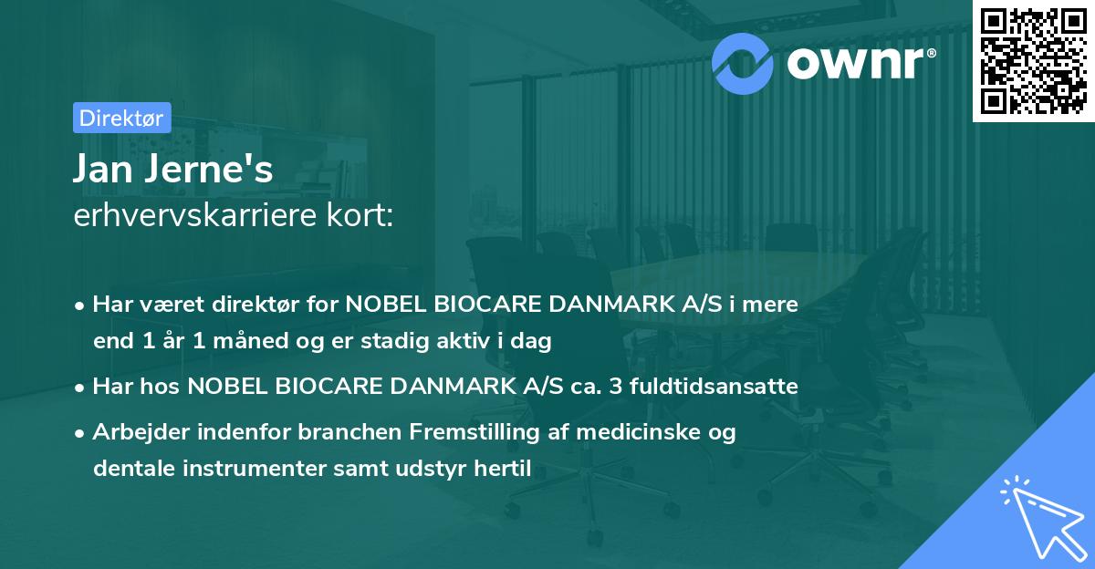 Jan Jerne's erhvervskarriere kort