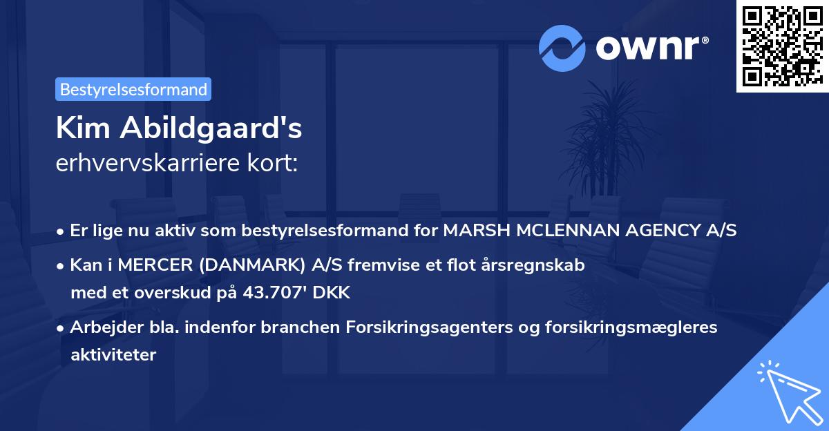 Kim Abildgaard's erhvervskarriere kort