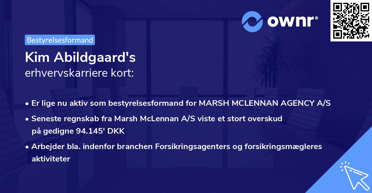 Kim Abildgaard's erhvervskarriere kort