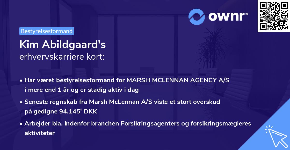 Kim Abildgaard's erhvervskarriere kort