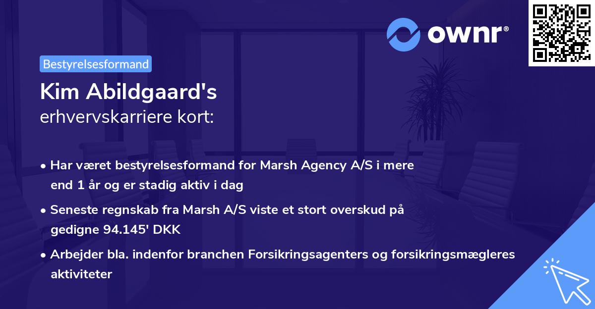 Kim Abildgaard's erhvervskarriere kort