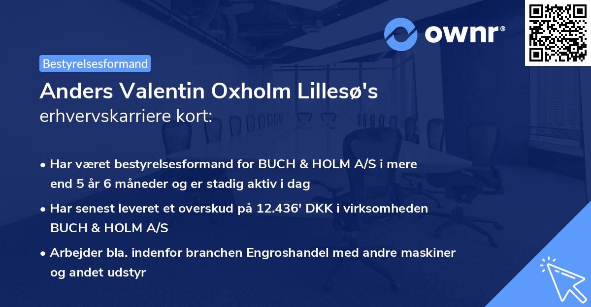 Anders Valentin Oxholm Lillesø's erhvervskarriere kort