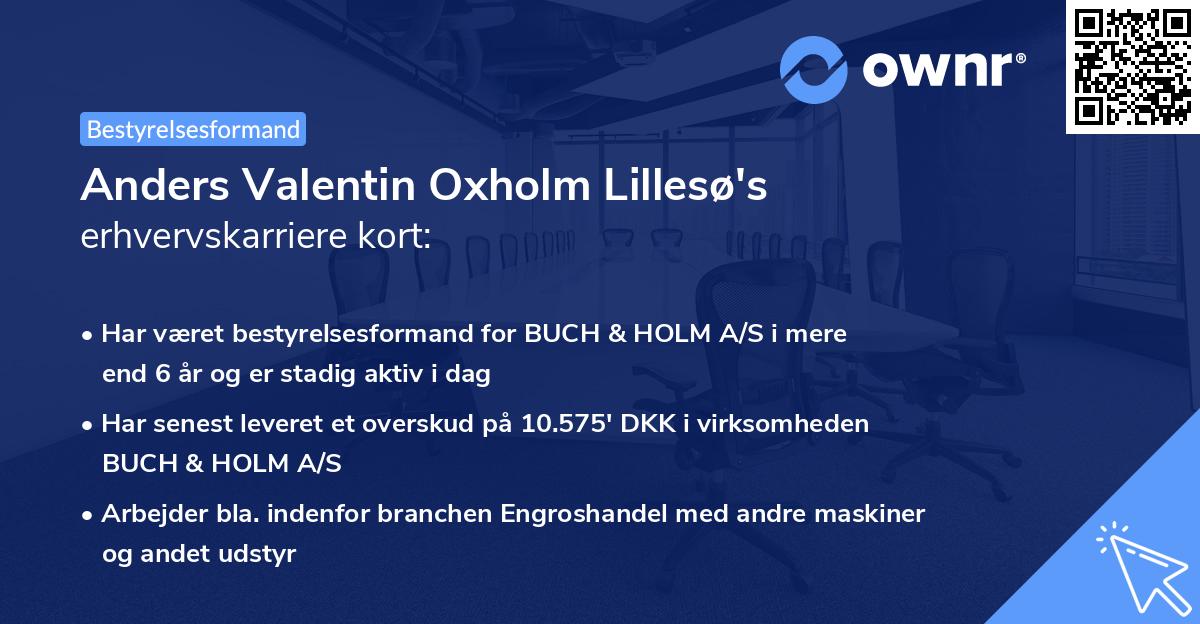 Anders Valentin Oxholm Lillesø's erhvervskarriere kort