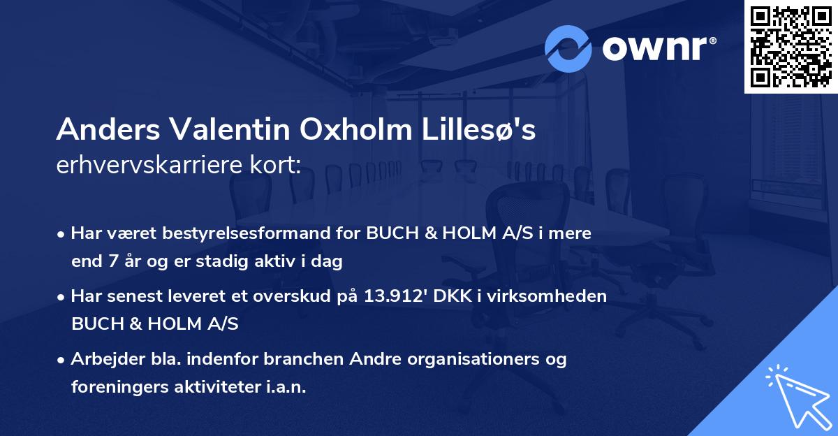 Anders Valentin Oxholm Lillesø's erhvervskarriere kort