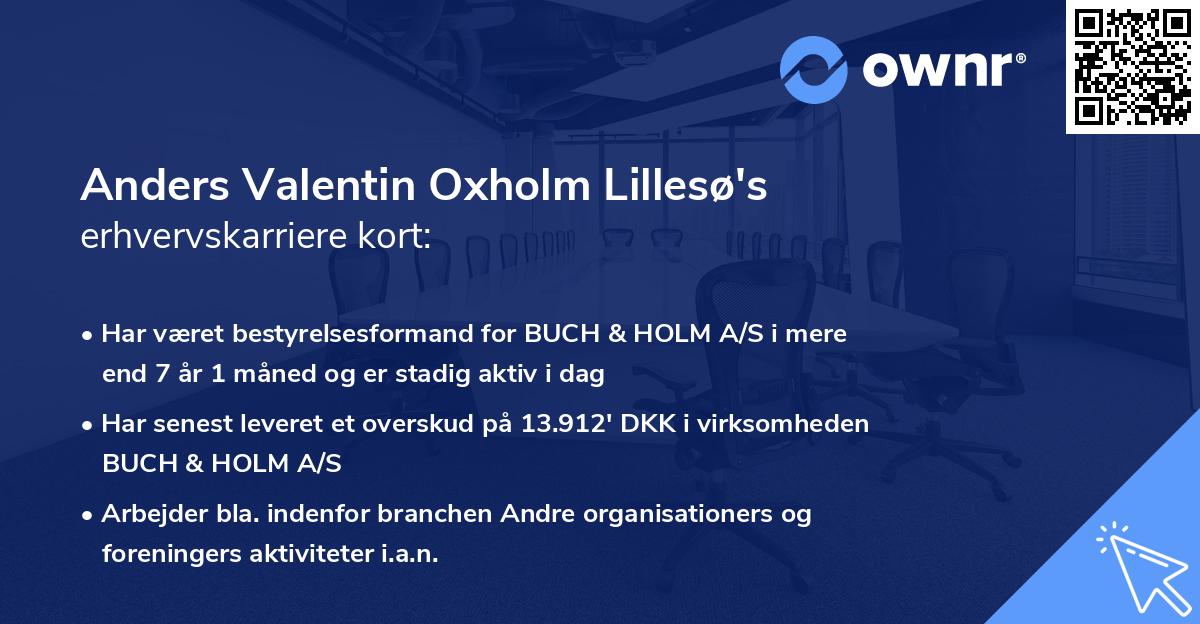 Anders Valentin Oxholm Lillesø's erhvervskarriere kort