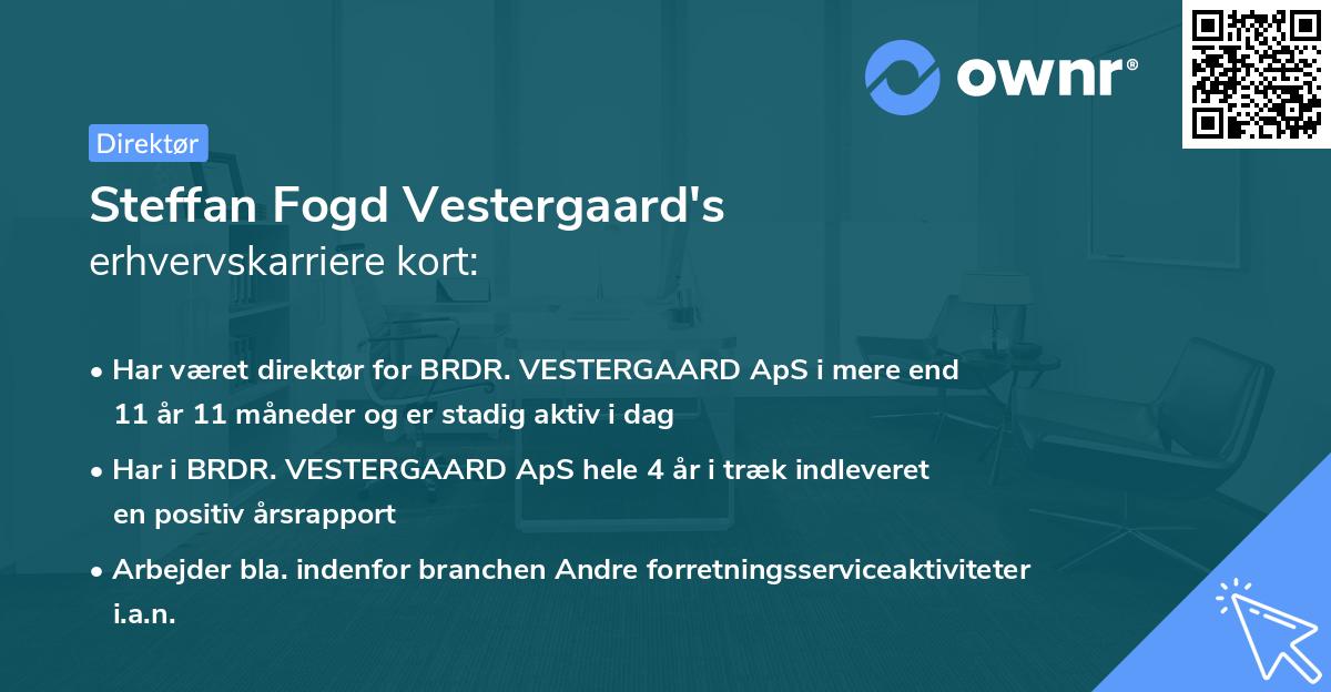 Steffan Fogd Vestergaard's erhvervskarriere kort