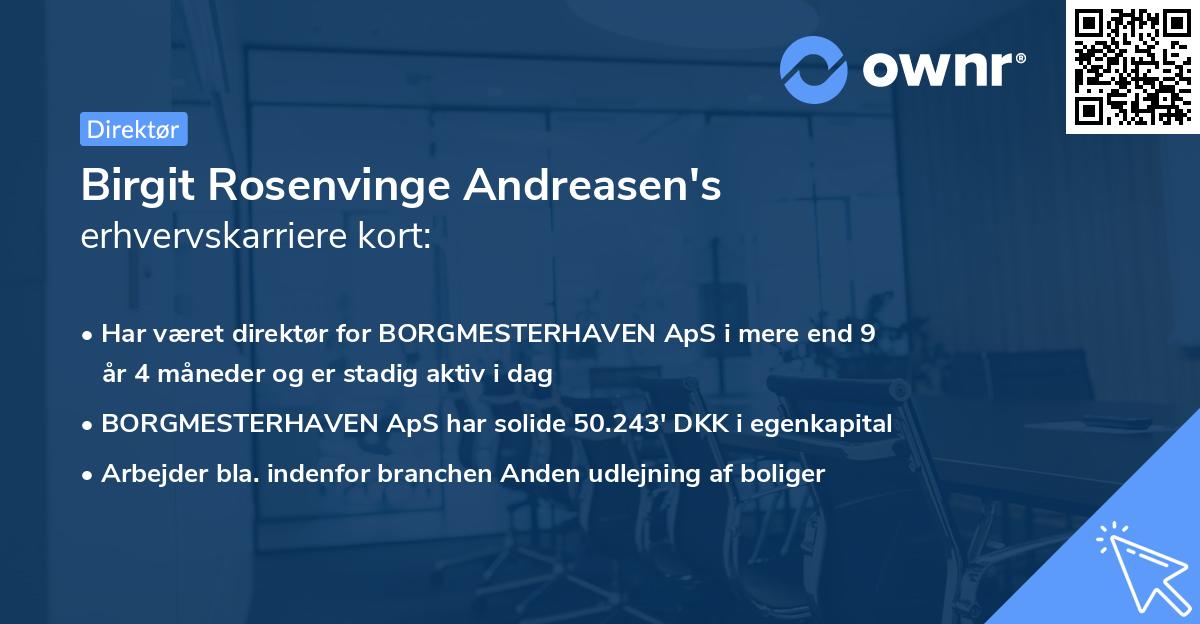 Birgit Rosenvinge Andreasen's erhvervskarriere kort