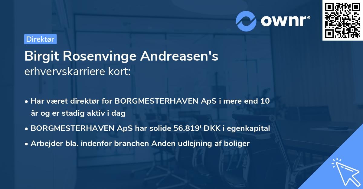 Birgit Rosenvinge Andreasen's erhvervskarriere kort