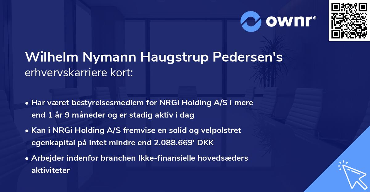 Wilhelm Nymann Haugstrup Pedersen's erhvervskarriere kort