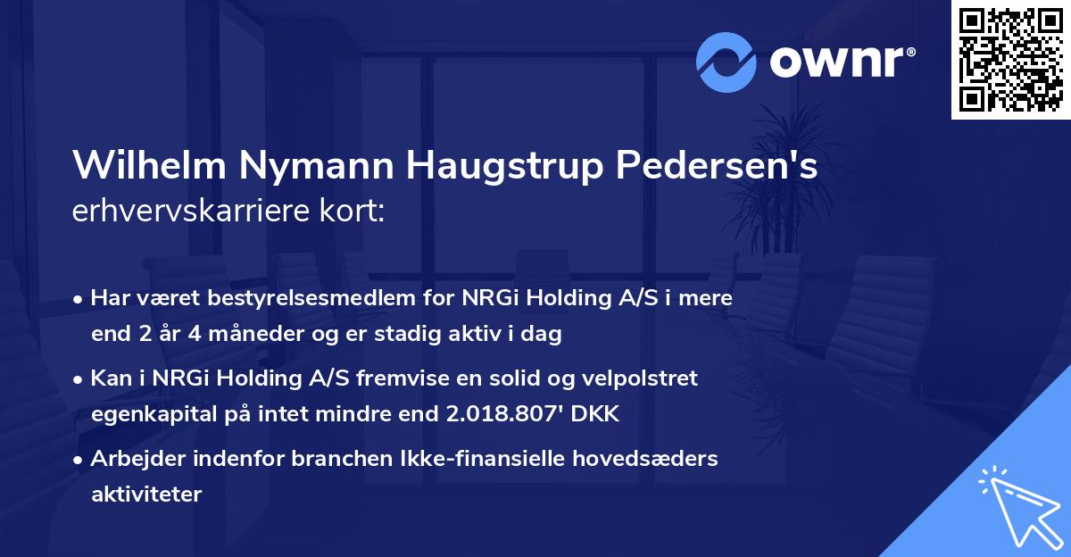 Wilhelm Nymann Haugstrup Pedersen's erhvervskarriere kort