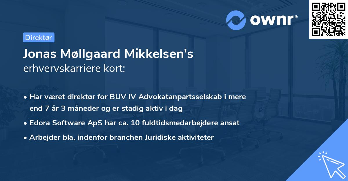Jonas Møllgaard Mikkelsen's erhvervskarriere kort