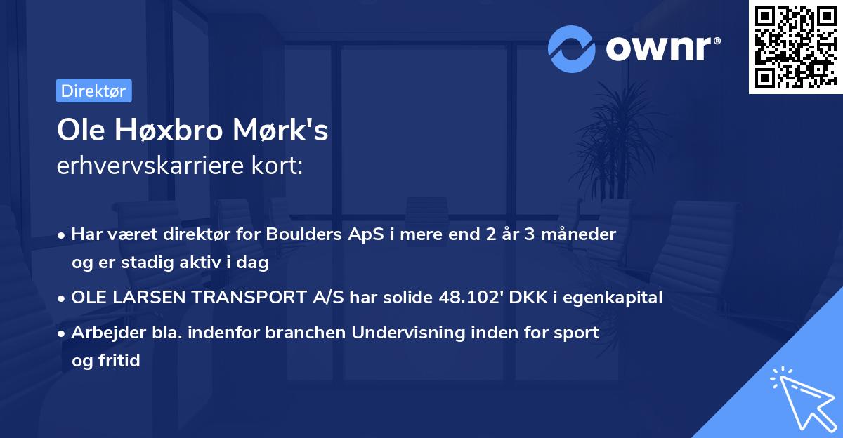 Ole Høxbro Mørk's erhvervskarriere kort