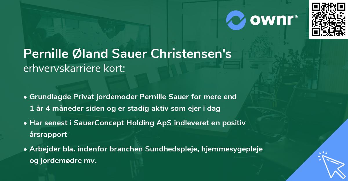 Pernille Øland Sauer Christensen's erhvervskarriere kort