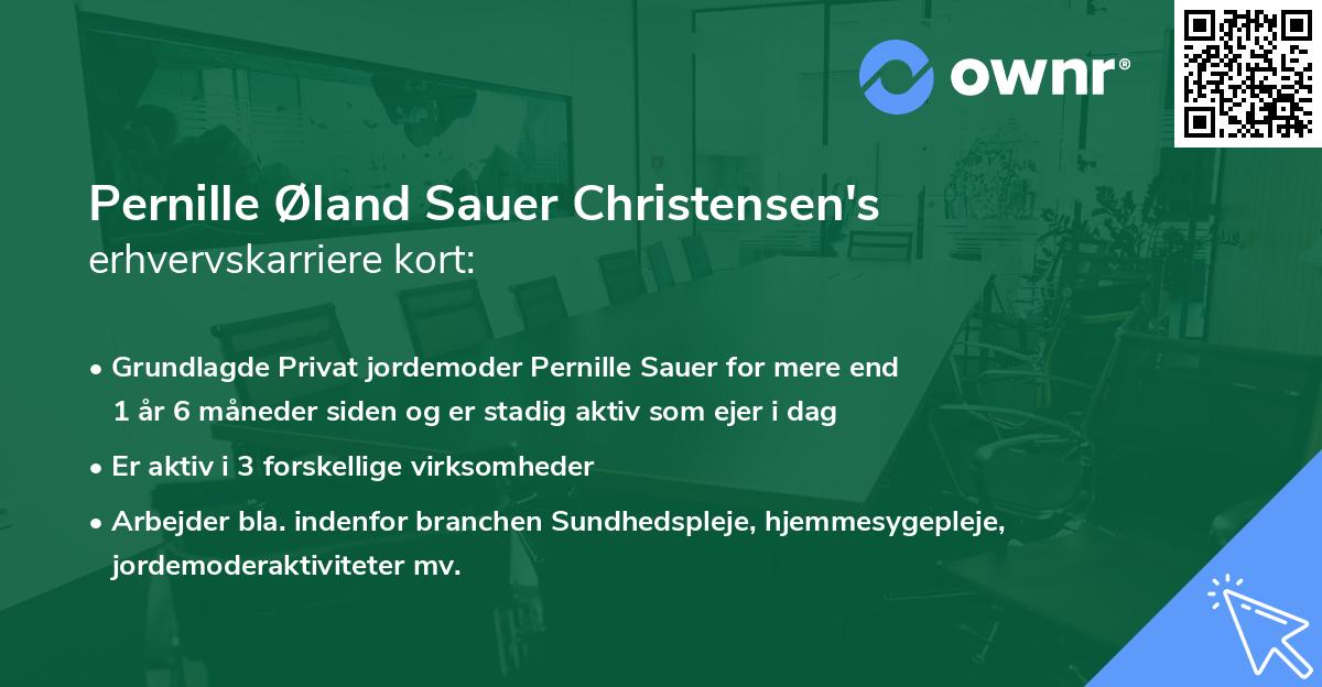 Pernille Øland Sauer Christensen's erhvervskarriere kort