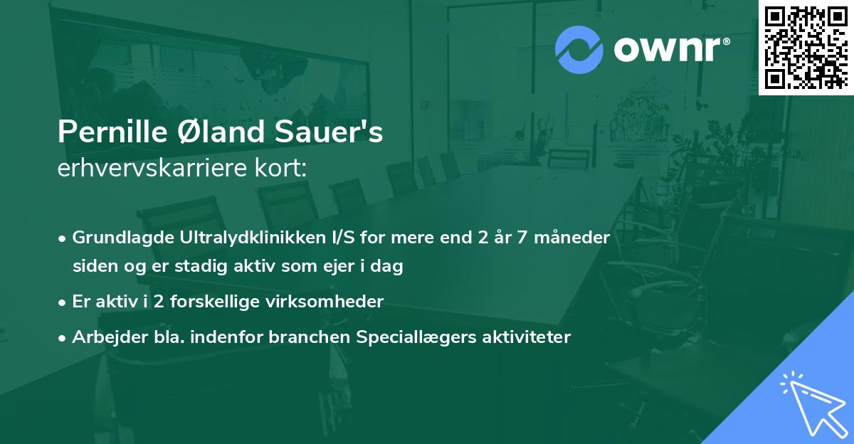 Pernille Øland Sauer's erhvervskarriere kort