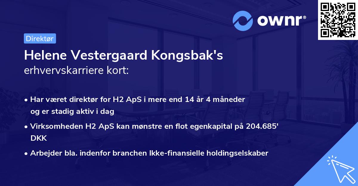 Helene Vestergaard Kongsbak's erhvervskarriere kort
