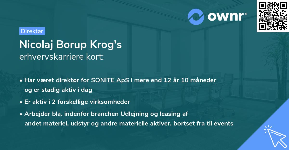 Nicolaj Borup Krog's erhvervskarriere kort