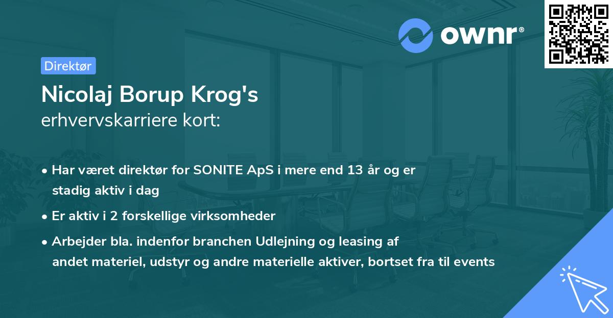 Nicolaj Borup Krog's erhvervskarriere kort