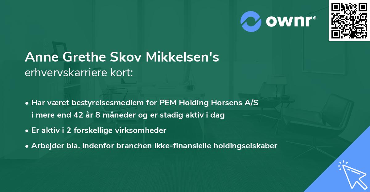 Anne Grethe Skov Mikkelsen's erhvervskarriere kort