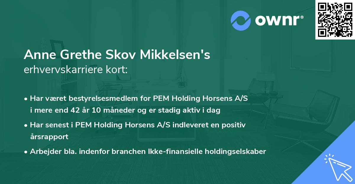 Anne Grethe Skov Mikkelsen's erhvervskarriere kort
