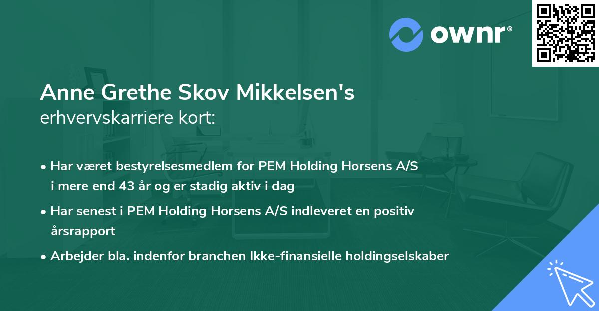Anne Grethe Skov Mikkelsen's erhvervskarriere kort