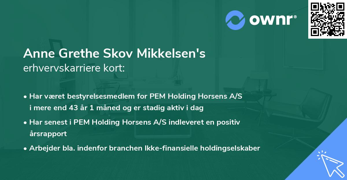 Anne Grethe Skov Mikkelsen's erhvervskarriere kort