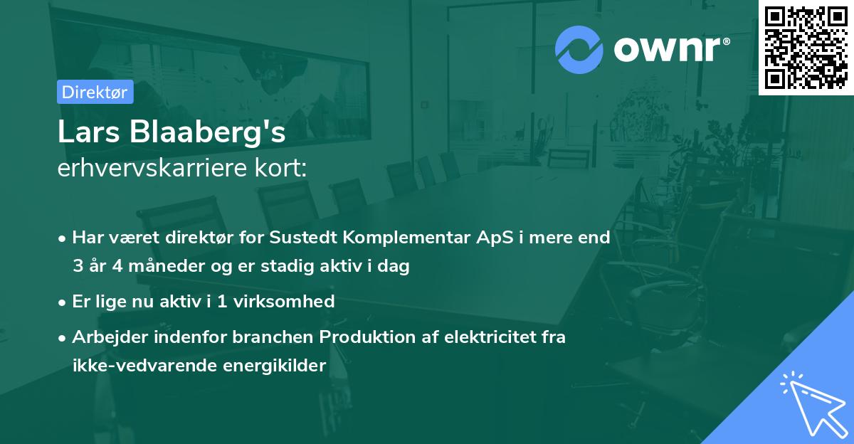 Lars Blaaberg's erhvervskarriere kort