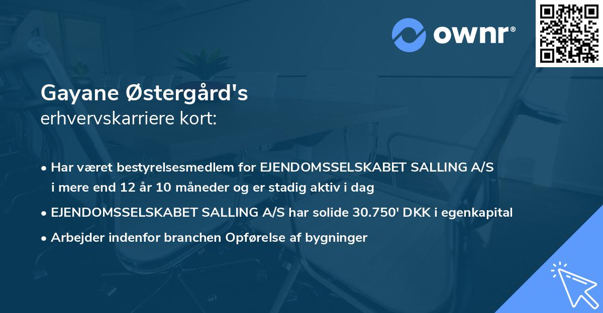 Gayane Østergård's erhvervskarriere kort