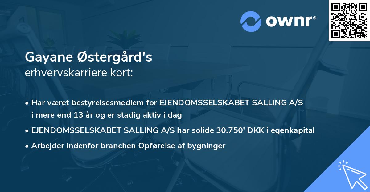Gayane Østergård's erhvervskarriere kort