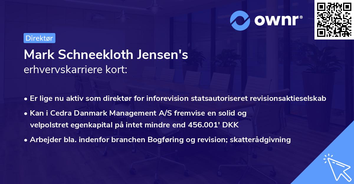 Mark Schneekloth Jensen's erhvervskarriere kort