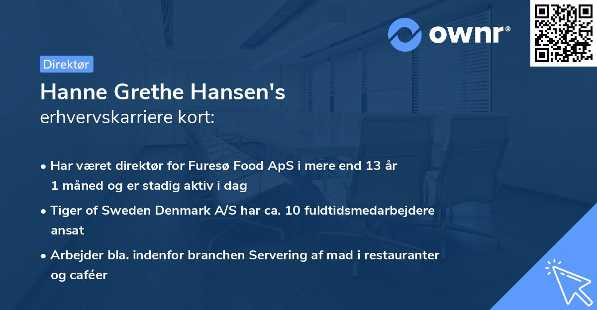 Hanne Grethe Hansen's erhvervskarriere kort