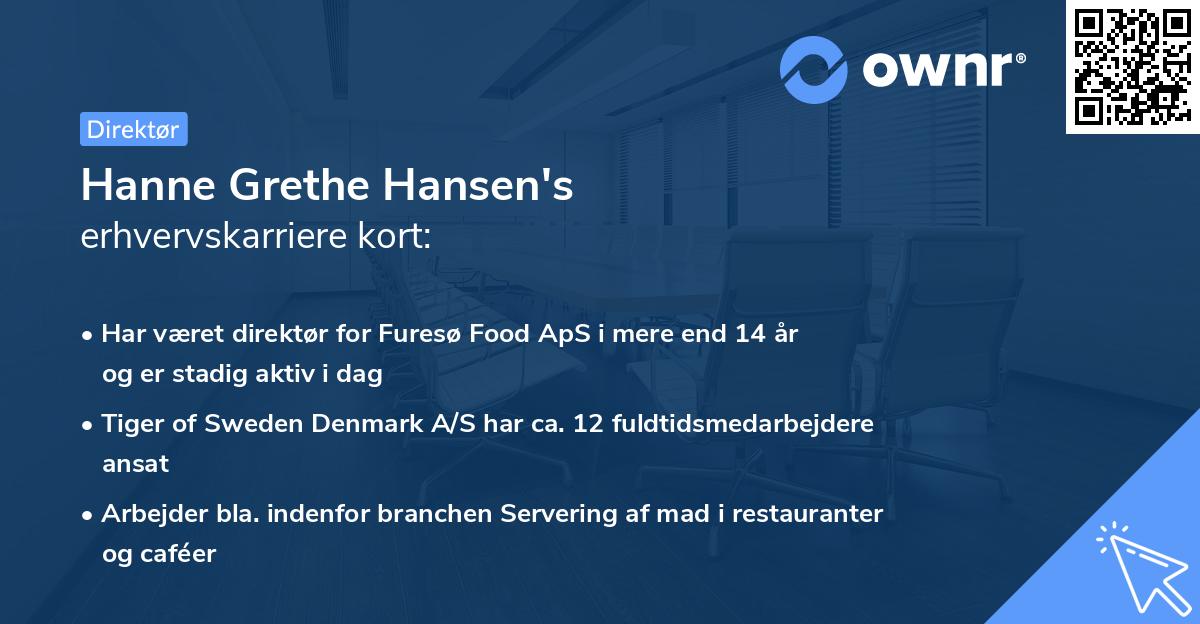 Hanne Grethe Hansen's erhvervskarriere kort
