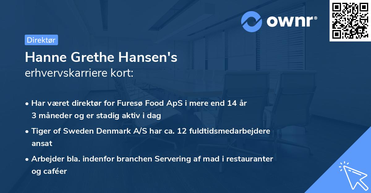 Hanne Grethe Hansen's erhvervskarriere kort