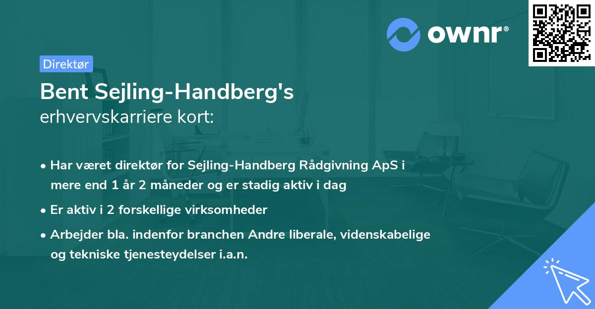 Bent Sejling-Handberg's erhvervskarriere kort