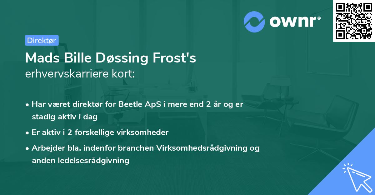 Mads Bille Døssing Frost's erhvervskarriere kort