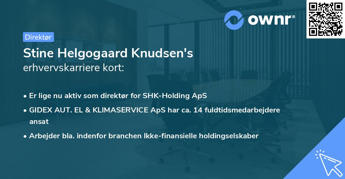 Stine Helgogaard Knudsen's erhvervskarriere kort