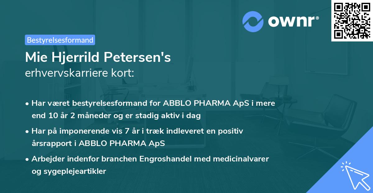 Mie Hjerrild Petersen's erhvervskarriere kort