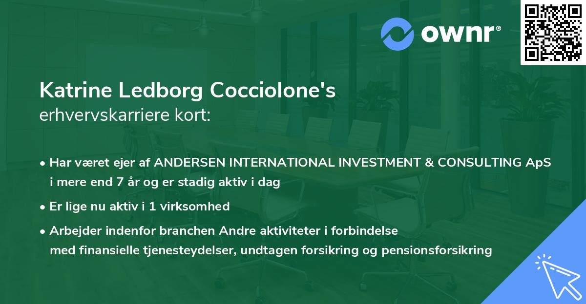 Katrine Ledborg Cocciolone's erhvervskarriere kort